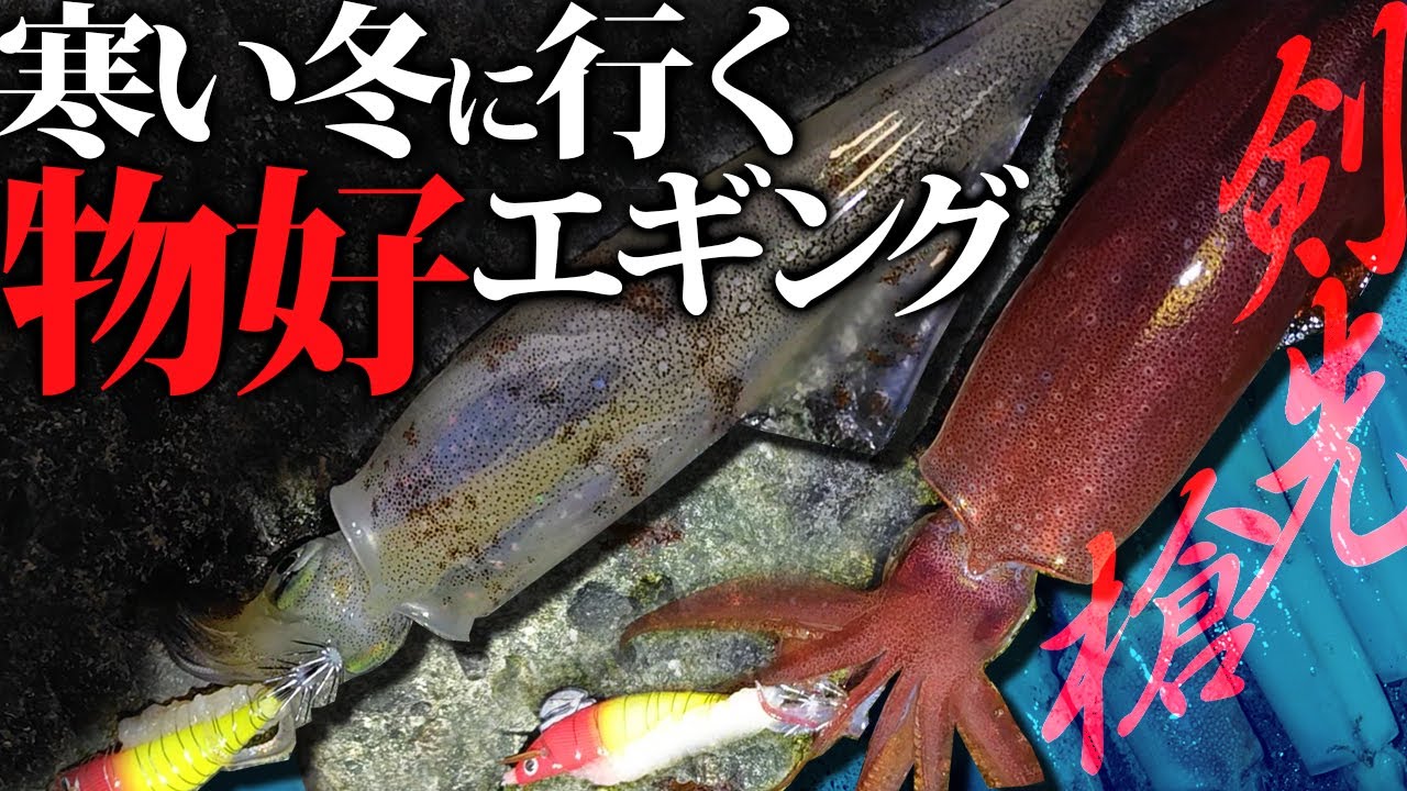 【ヤリイカエギング】寒い冬に行く物好きエギング