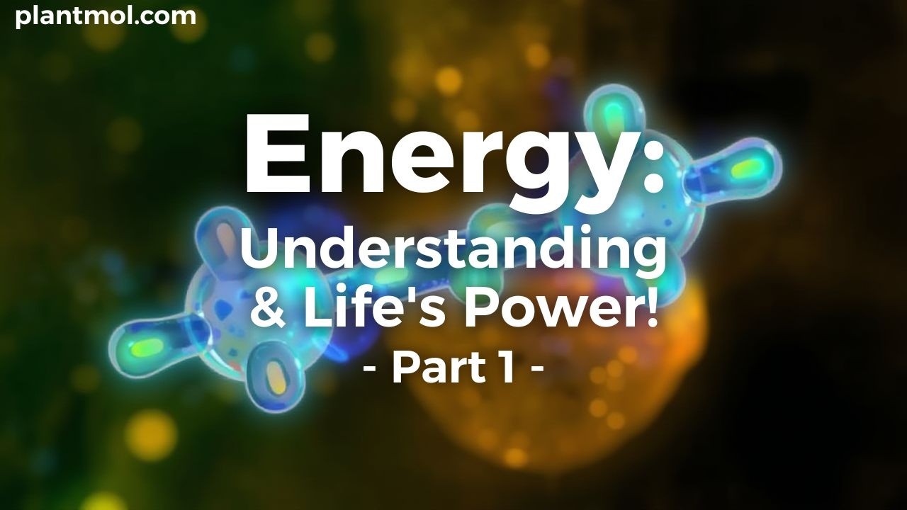 Energy: Understanding Life’s Power | Part 1 | Bioenergetics & ATP Explained