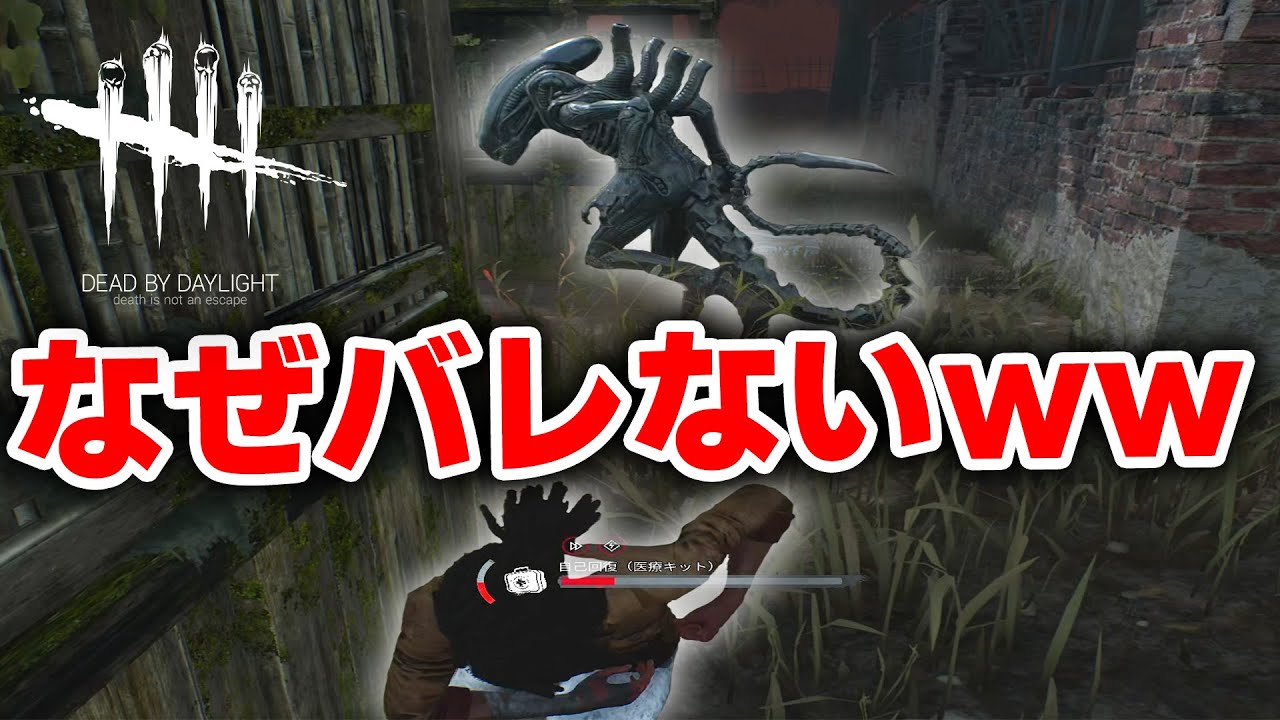 【DbD】キラーの目の前で治療しても全然バレないの面白すぎるｗｗｗｗｗ #533「Dead by Daylight - デッドバイデイライト」【中ボス】