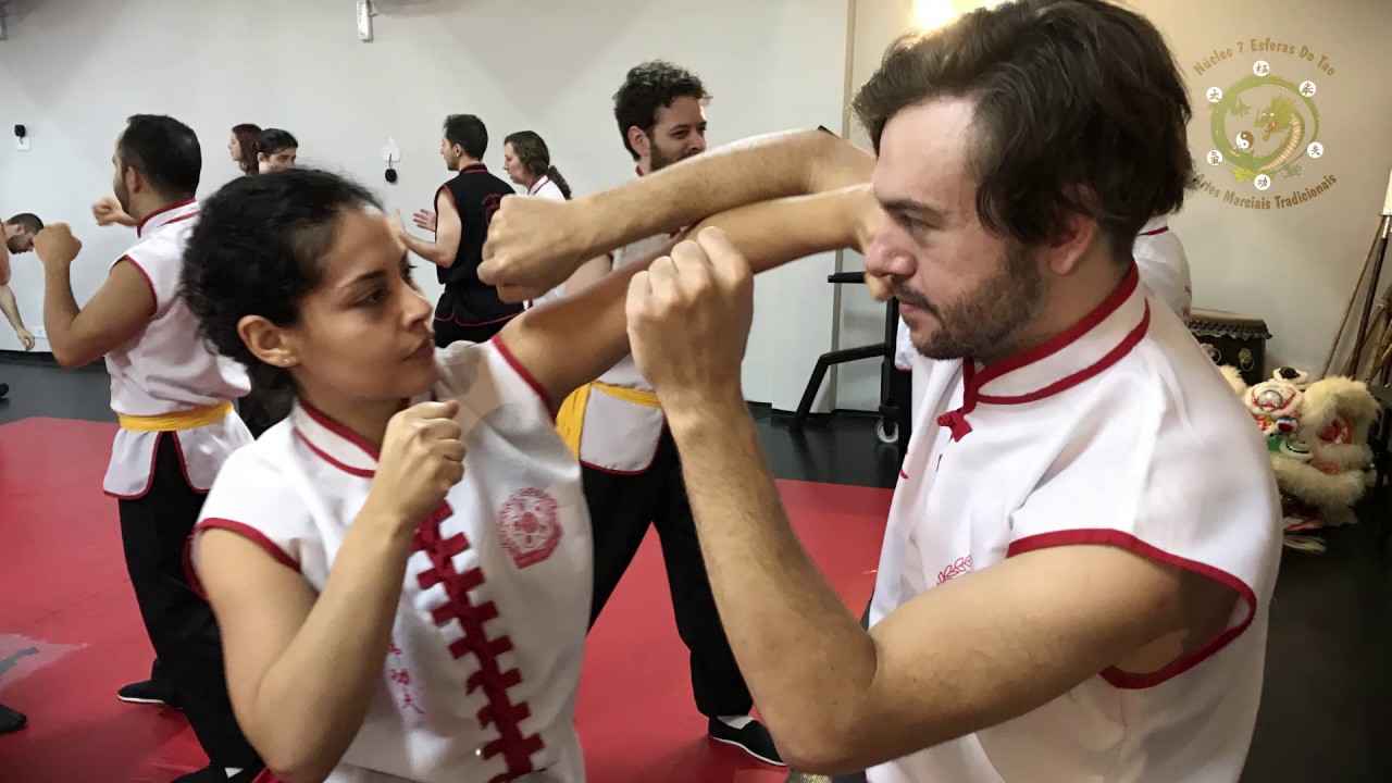 Defesa Pessoal utilizando Choy Lay Fut com GM Li Siu Hung