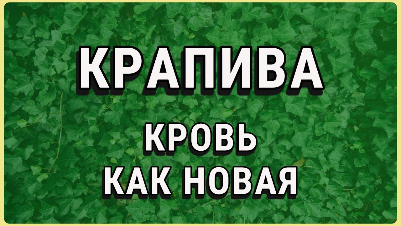 Почему крапива жжёт — и почему это хорошо?