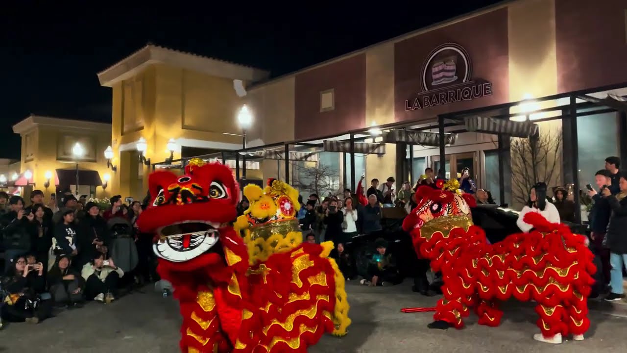 GOLDEN TURTLE LION DANCE ASSOCIATION @ VIETNAM TOWN SAN JOSE 2026