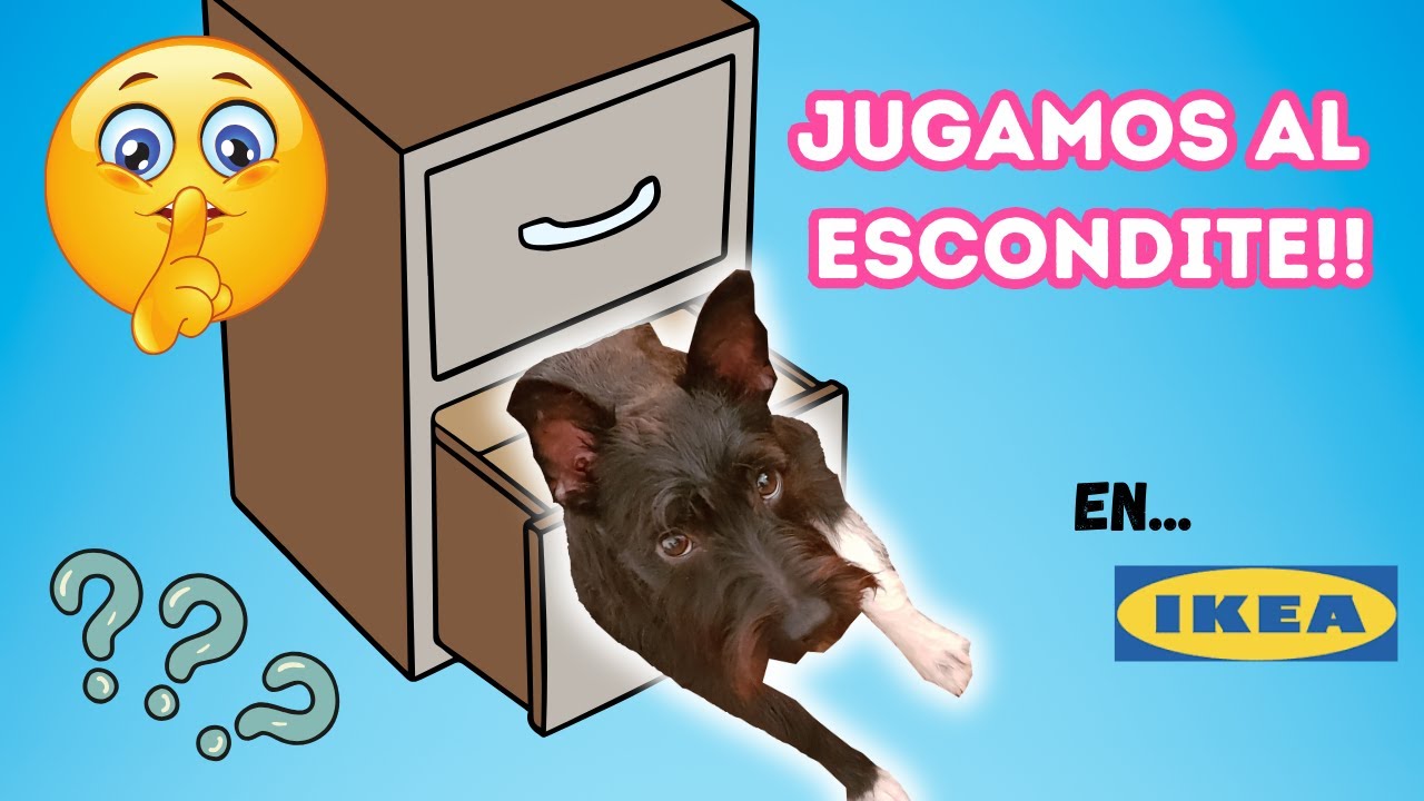 ¡JUGAMOS al ESCONDITE! En IKEA / Las Aventuras de Lana
