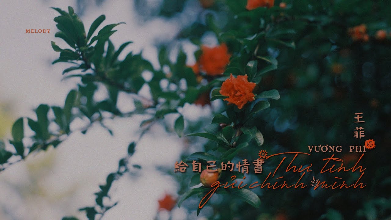 [Vietsub + Lyrics] Thư Tình Gửi Chính Mình 給自己的情書 - Vương Phi | 王菲 | Faye Wong