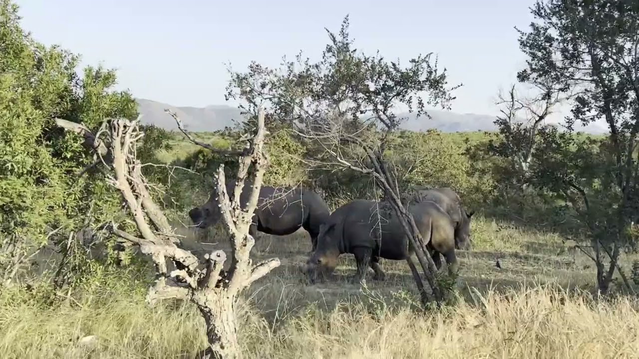 SANParks Series | Part 7 | Kruger National Park