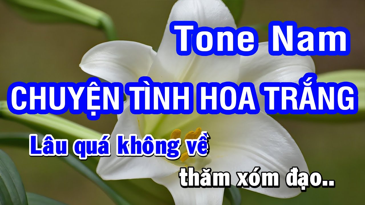 Karaoke Chuyện Tình Hoa Trắng - Như Quỳnh | Tone Nam