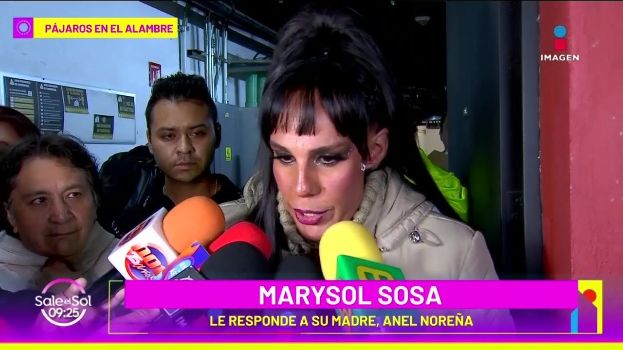 Marysol Sosa ACLARA pleito entre Anel Noreña y su esposo | Sale el Sol