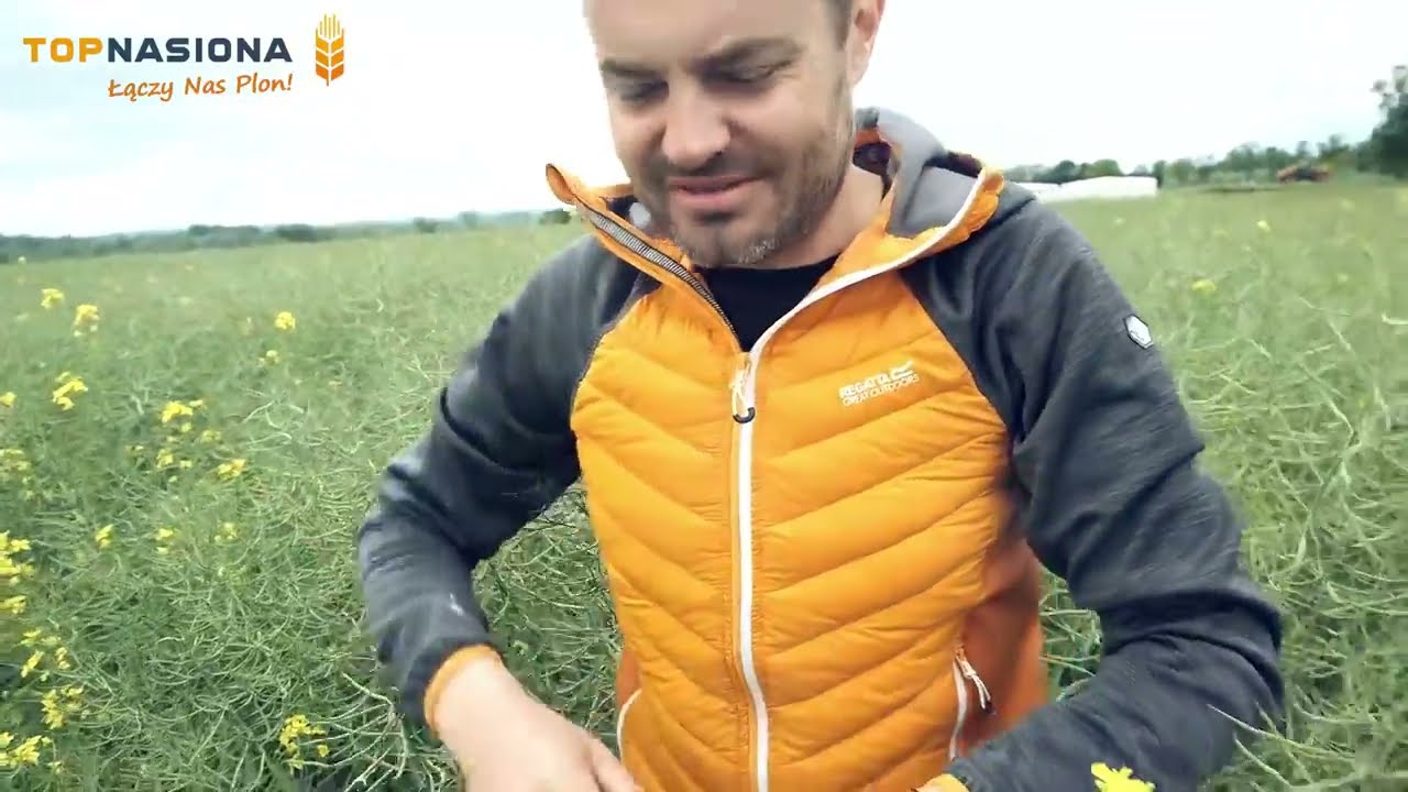 Wizyta w hodowli rzepaku OSEVA Pro w Czechach [napisy PL] | ONCA rzepak populacyjny | Top Nasiona