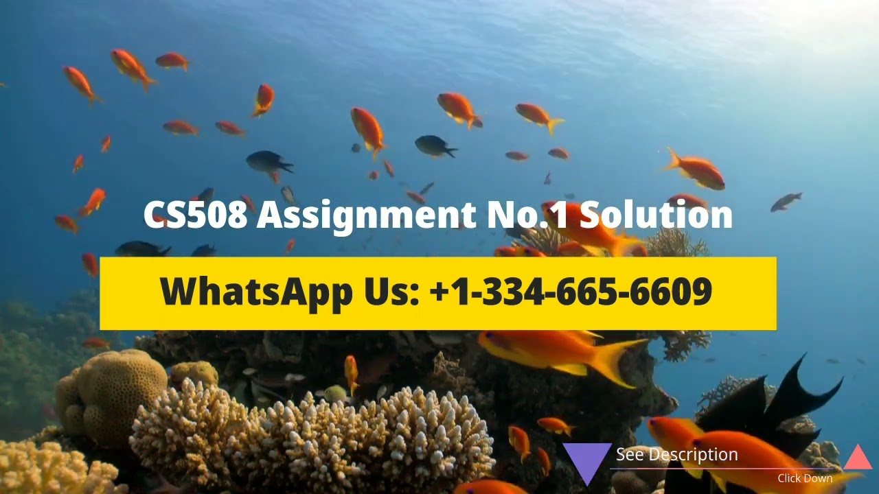 CS508 Assignment No. 1 Solution Spring 2023
