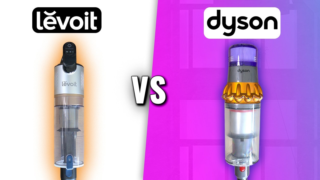 Can Levoit Beat Dyson For Less?