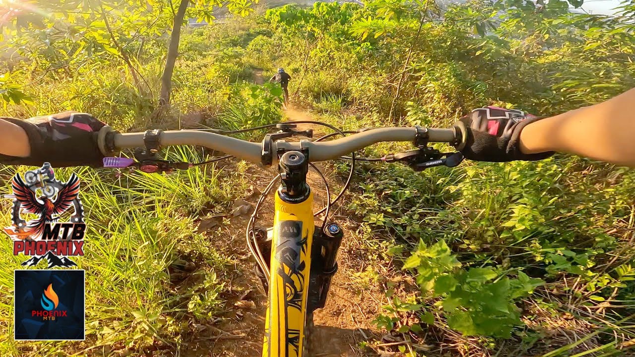 Golden hour down Virgo line