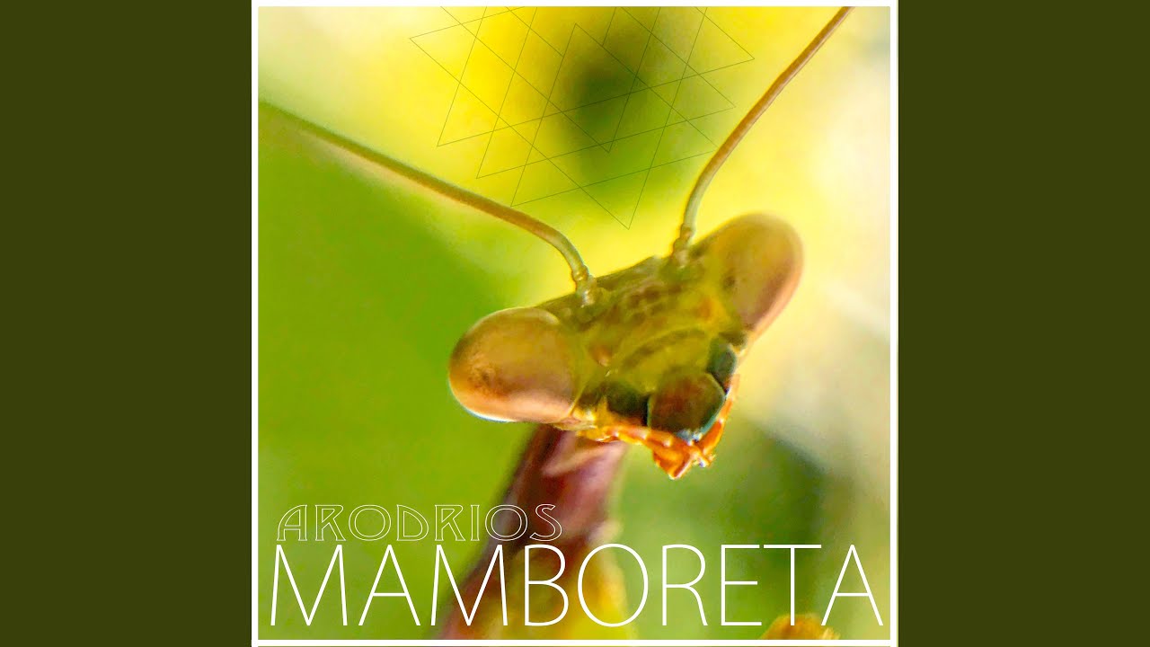 Mamboreta