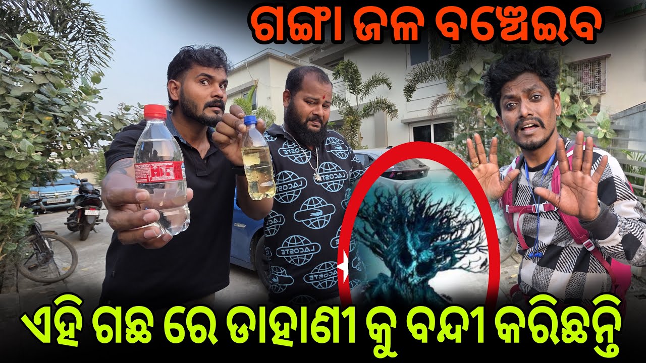 ଡାହାଣୀ କୁ ବନ୍ଦୀ କରୁଛନ୍ତି ଏହି ଗଛ ରେ #993