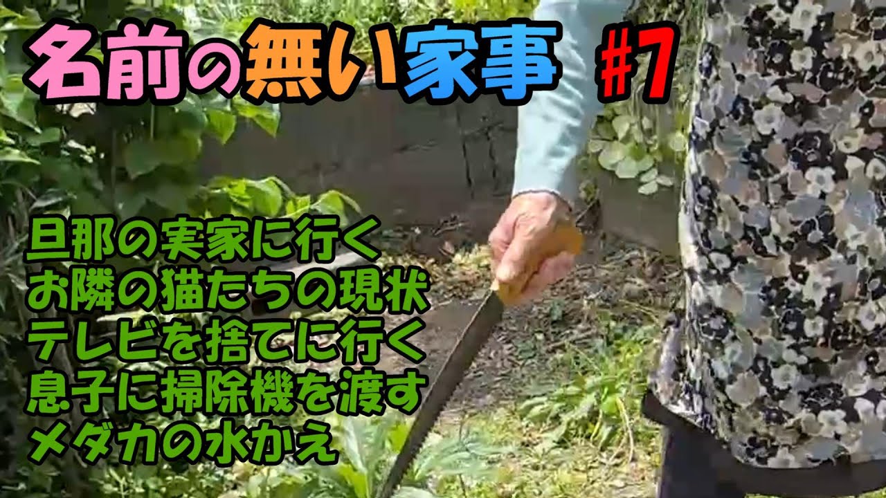 名前のない家事#7「旦那の実家で野菜をもらう」「隣のおばさんと23才の猫についてご報告」「テレビを捨てに行く」「息子の掃除機を持たせる」「メダカの掃除」