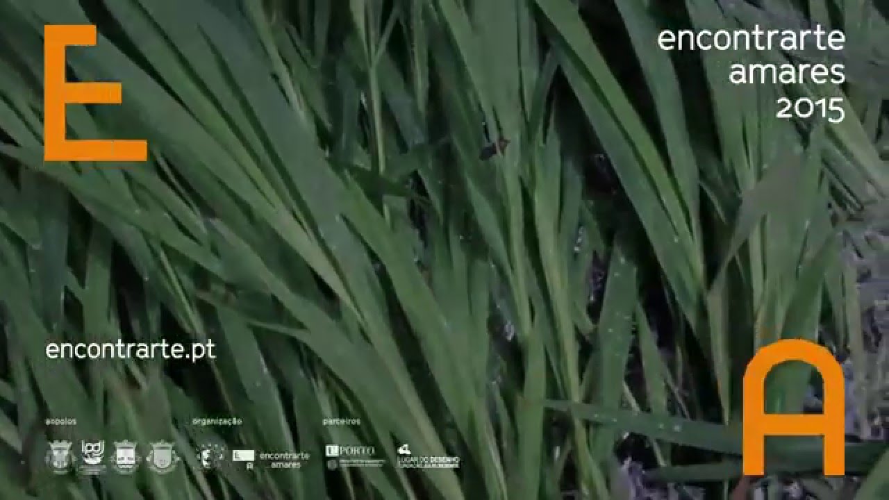 EA2015 - Ilha de Figueiredo