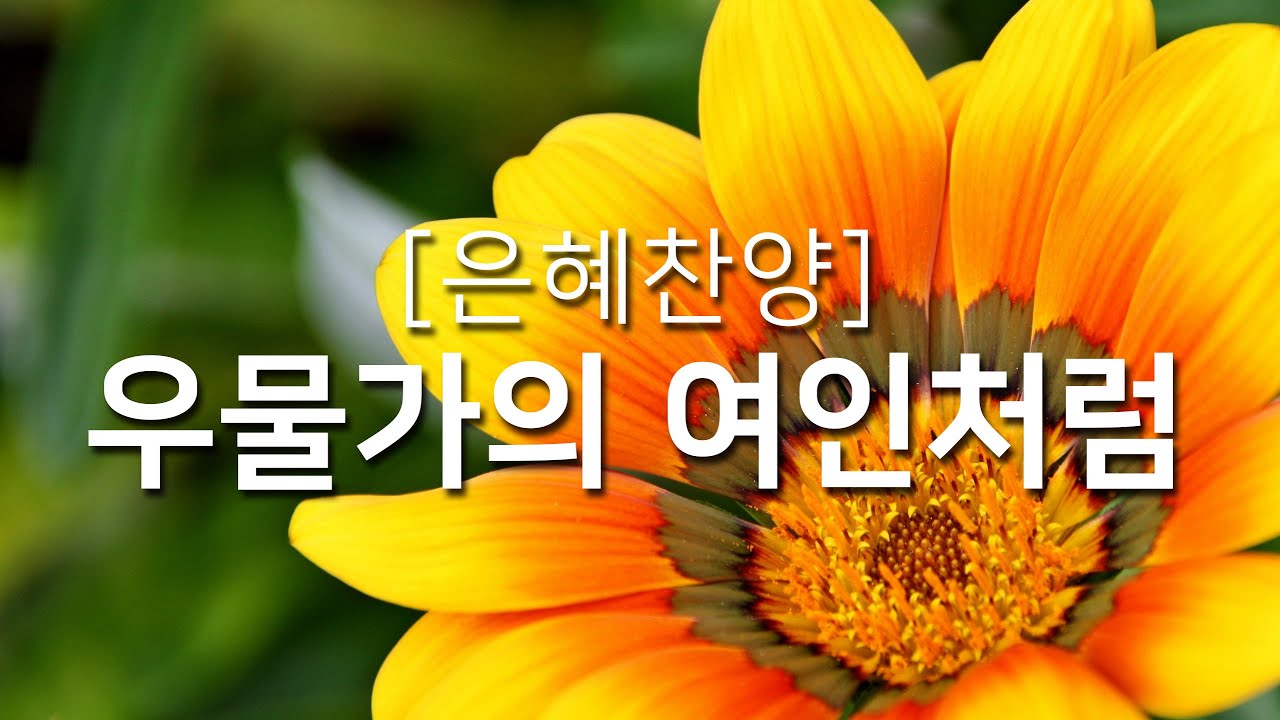 [복음성가연속듣기] 우물가의 여인처럼_하루찬양( 은혜찬양, 은혜찬양연속듣기 )
