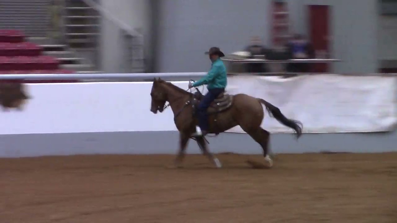 Charles King Sr first round EXCA Novice 2025 EXCA world riding Gus