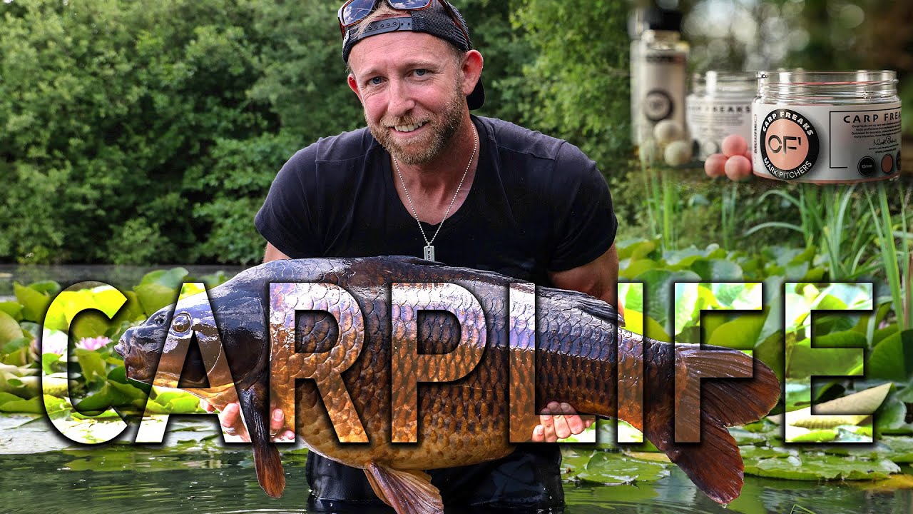 Carp Life - HUGE CARP TO 65LB! 🤯