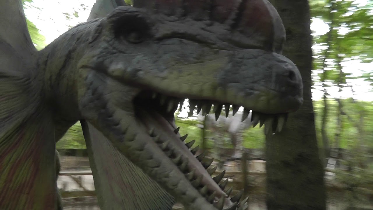 Train through dinosaur Park at paradise wildlife park 2018