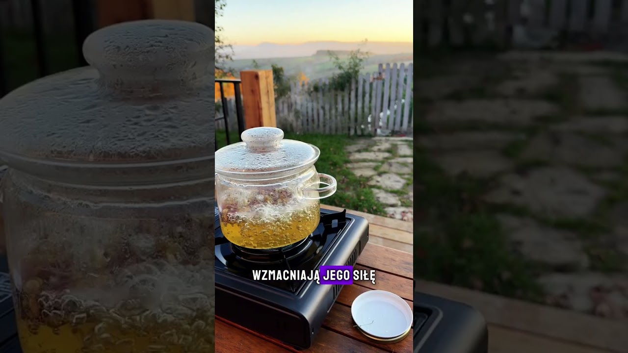 Co na odporność? 🍵 Sięgnij po maliniak &ndash; herbatę z gałązek malin, znaną w polskiej tradycji od