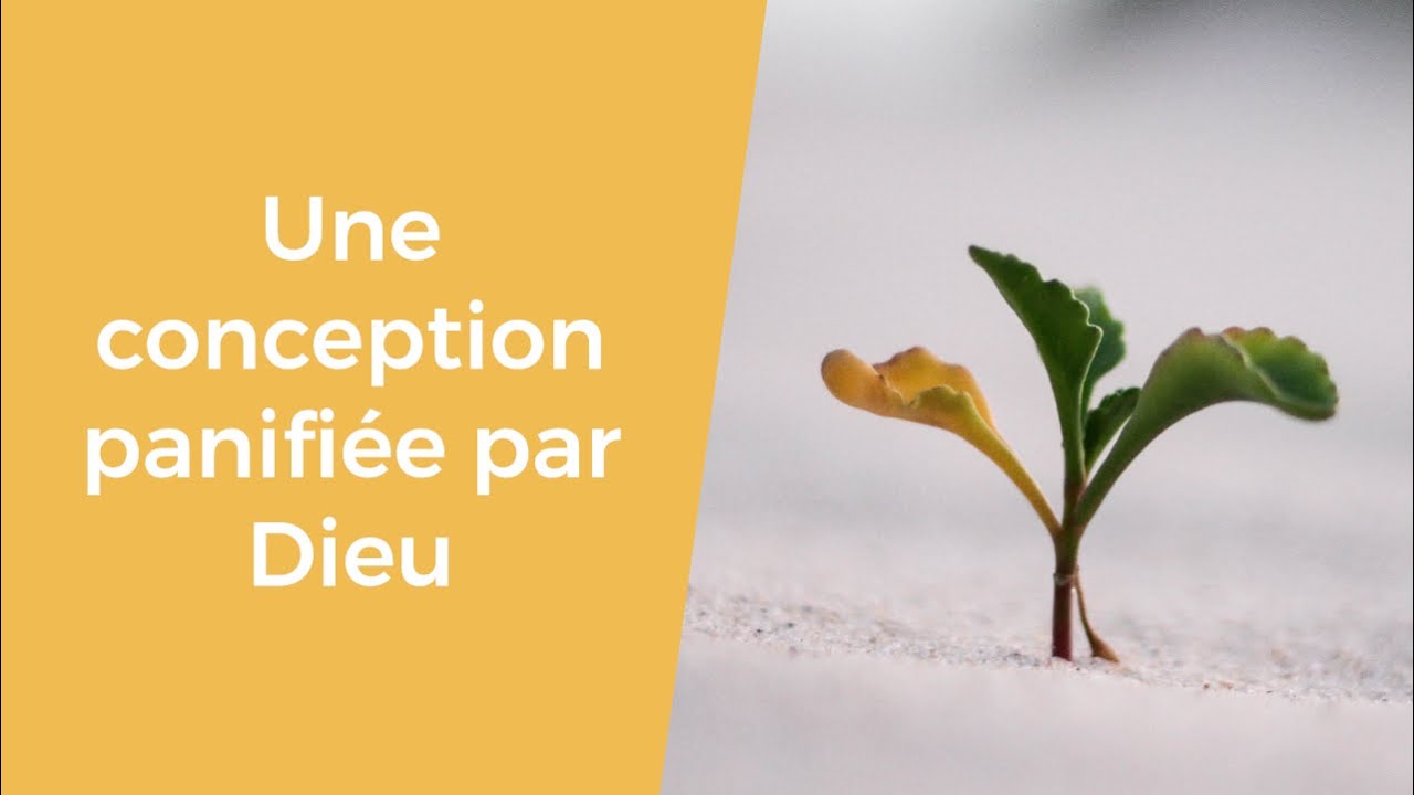 Une grossesse avec Dieu : la conception