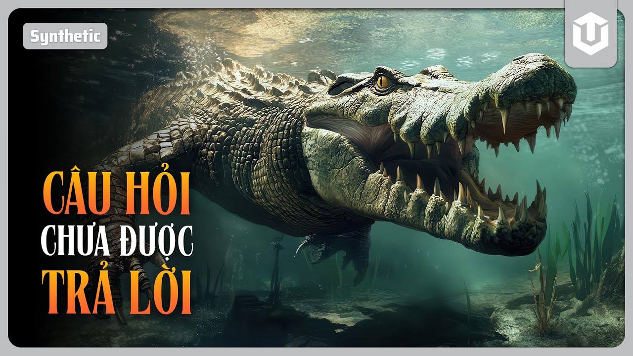 MEGALODON CÓ TRỐN CHẠY TRƯỚC LIVYATAN? VÀ NHỮNG CÂU HỎI CHƯA ĐƯỢC TRẢ LỜI THỜI TIỀN SỬ