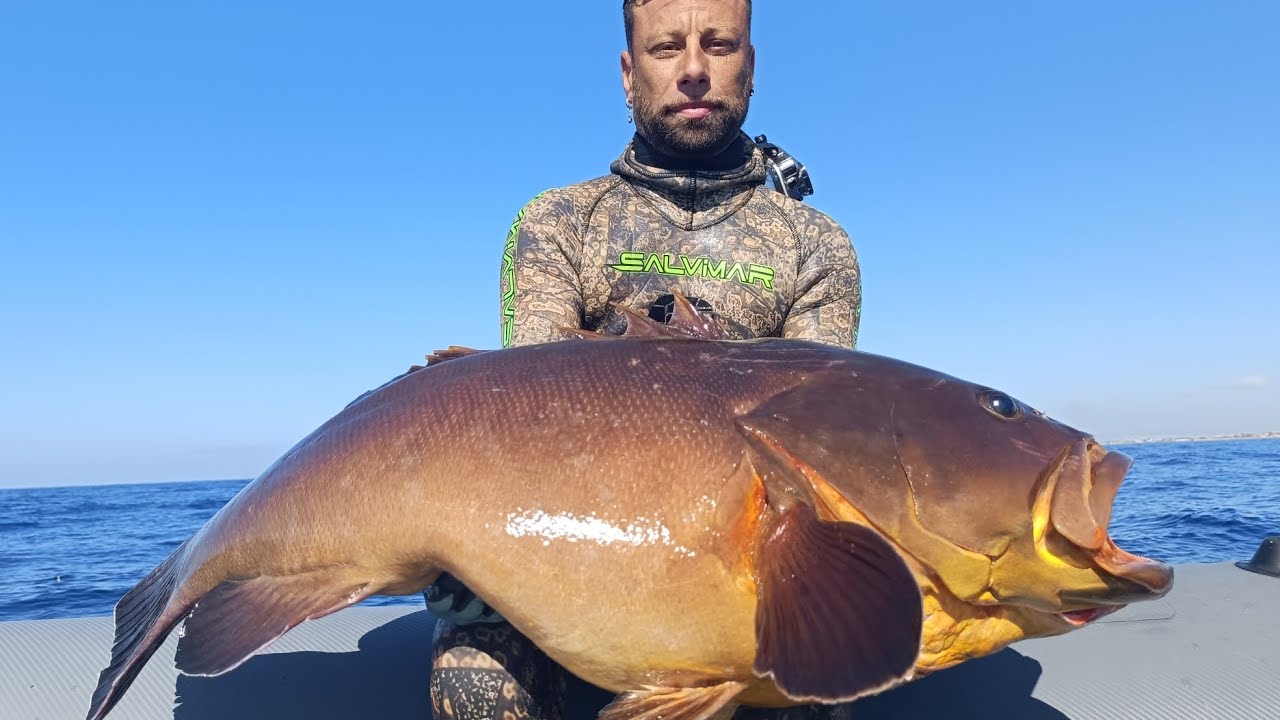 Ho catturato una cernia da 19 kg pensando fosse 7 kg con Concetto Felice by Salvimar 