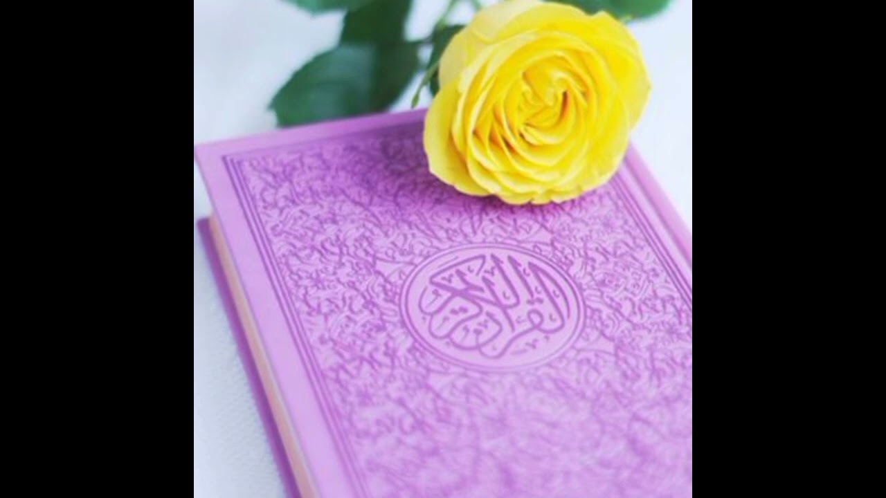 أستخارة عامة 💛💜|أستخارة العلوية أم مرتضى 💜💛