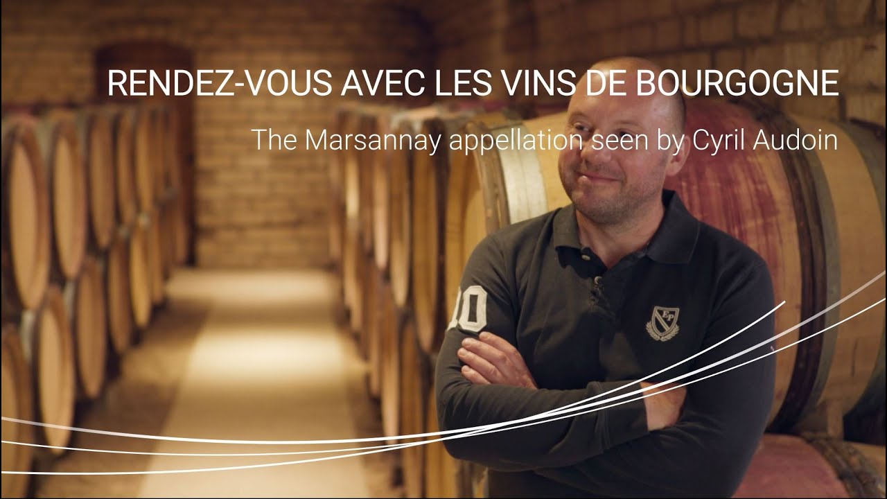 The Marsannay appellation seen by Cyril Audoin