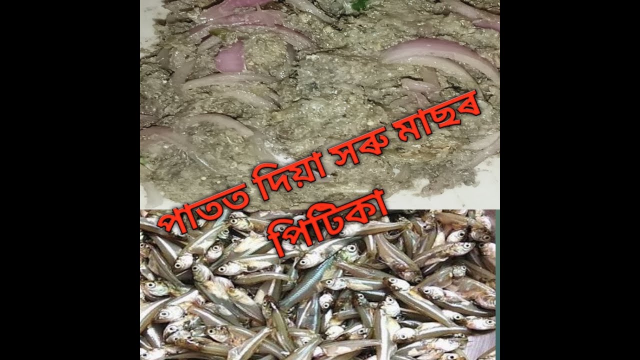 Assamese fish recipe/পাতত দিয়া সৰু মাছৰ পিটিকা/Mas Pitika recipe