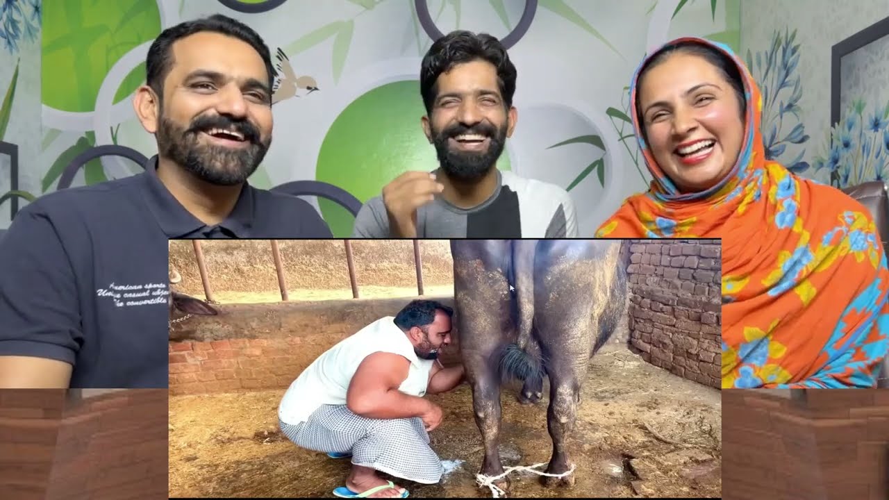 ਮਾਮਾ ਬੱਕਰਾ Part.2 | New Comedy Video 2025 | Harpal Gill | Narinder Sarai || Pakistani Reaction