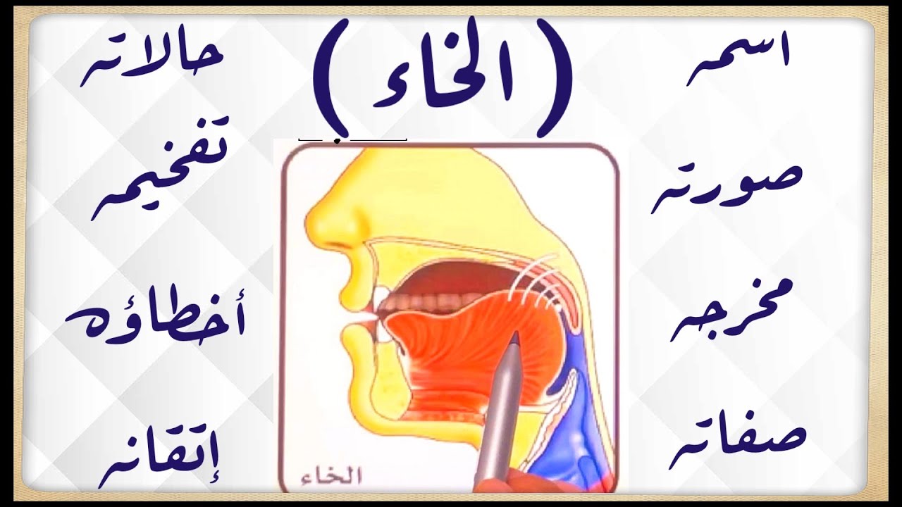 📣(٢٤)حرف الخاء كما يعرف في اللغة العربية بتفخيمه الصحيح واسمه،صورته،مخرجه،صفاته،الأخطاء الشائعةفيه