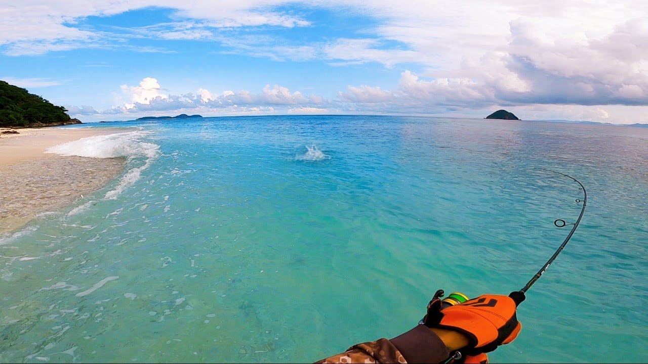 Beach Fishing❗Hunting Fish For Food - Catch And Cook | Palawan , Philippines