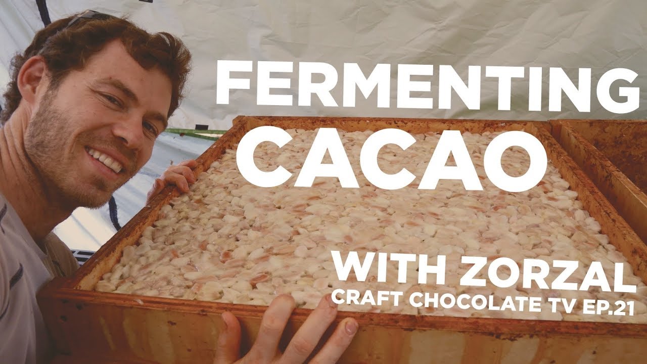 Fermenting Cacao (4 tier cascade system) - Episode 21 - Craft Chocolate TV