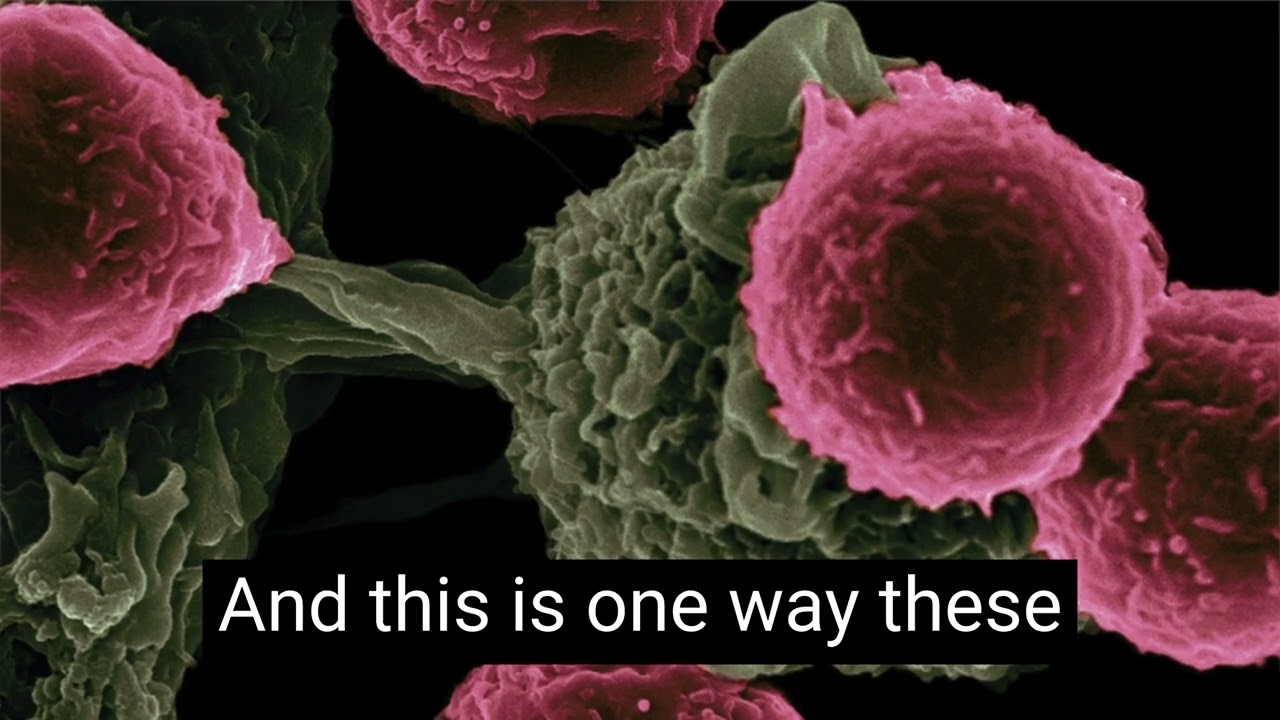 Attacking cancer cells from the inside out