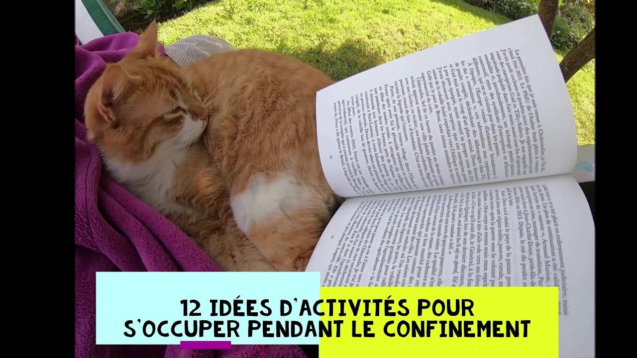 12 activity ideas to keep you busy during your lockdown   40代の間に忙しくする12のアクティビティのアイデア