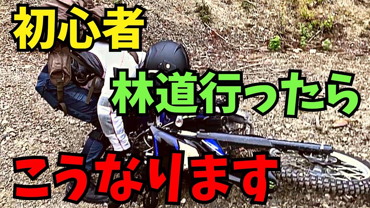【 バイク転倒 】バイク初心者 が オフロードバイク で 林道 行ったら3回 転倒  WR155R CRF250rally 【モトブログ 】【 立ちごけ】