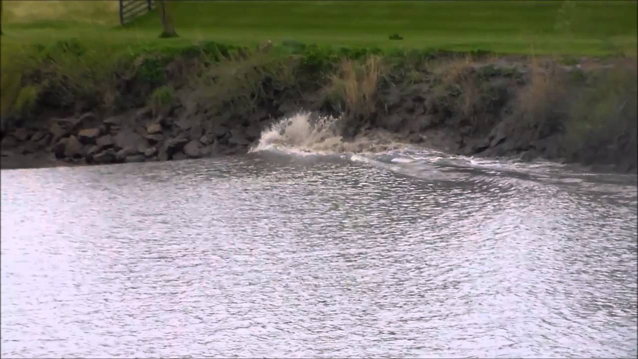 River Trent Aegir April 2015