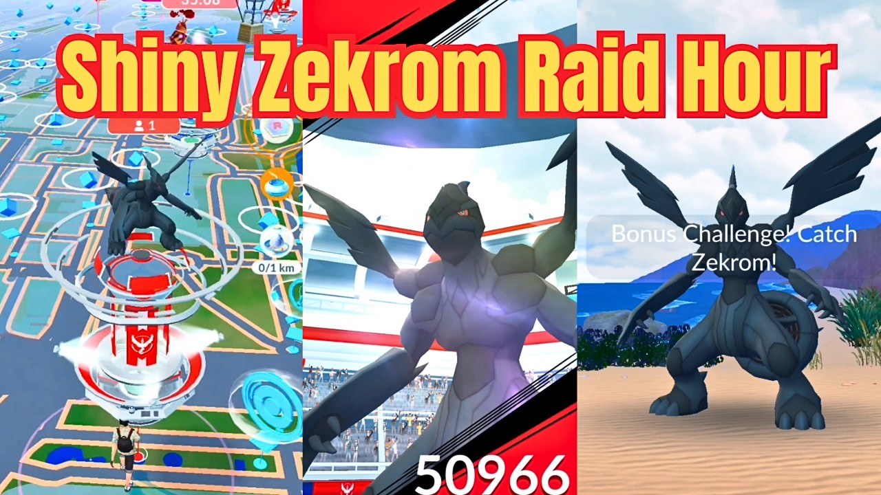 Pok&eacute;mon GO Zekrom Raid Hour | Shiny Zekrom Encounter! #pokemongo