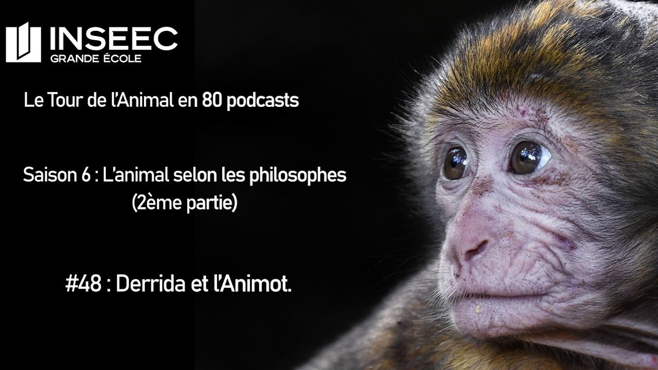 Podcast S6E48 x INSEEC GE - Le Tour de l'Animal