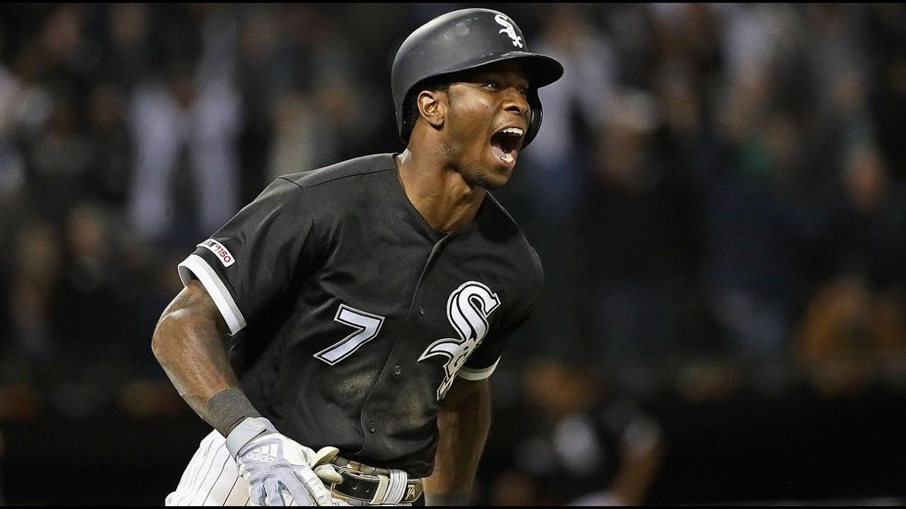 Tim Anderson 2019 Highlights