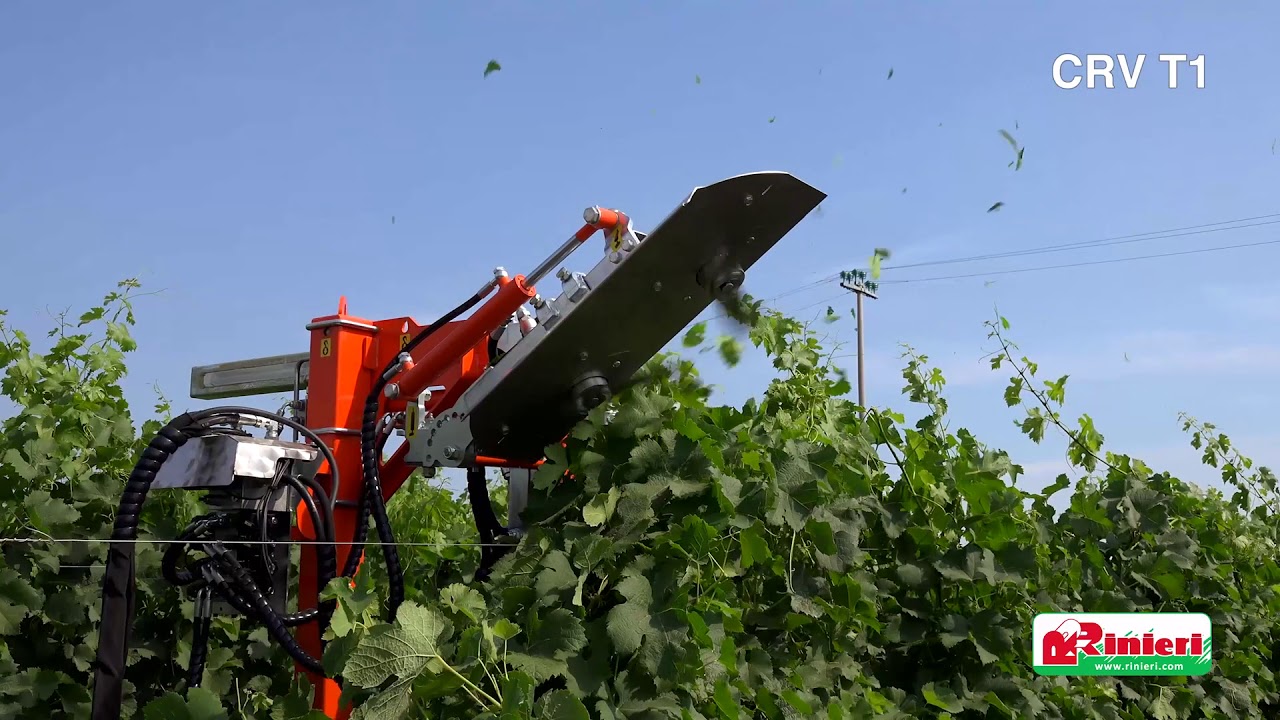 Cimatrice a coltelli per vigneto CRV T1 L - Rinieri
