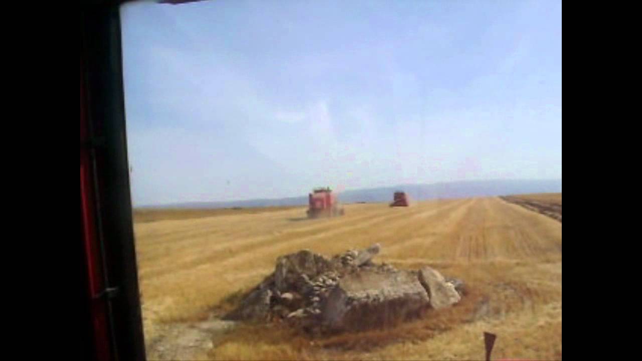 Trebbiatura orzo 2012-SAME e LAVERDA.wmv