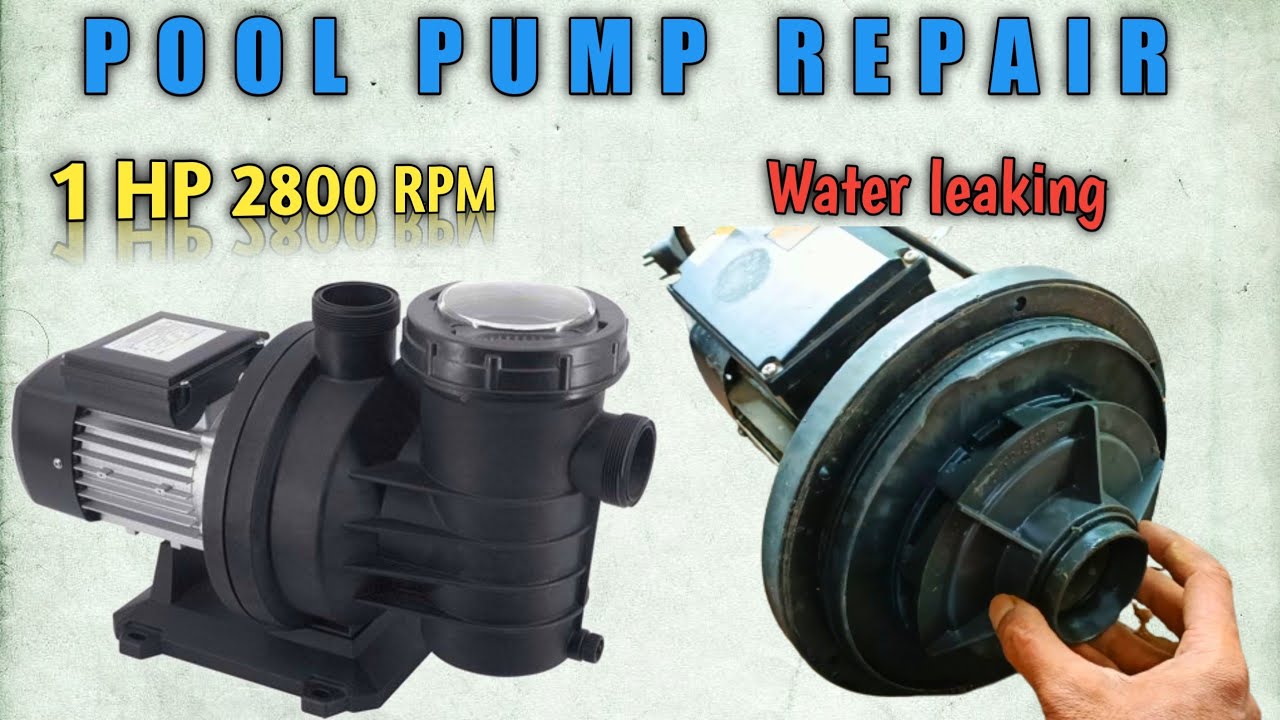 Pool pump repair|Pool pump motor leaking water|Swimming pool pump repair|How to repair pool pump