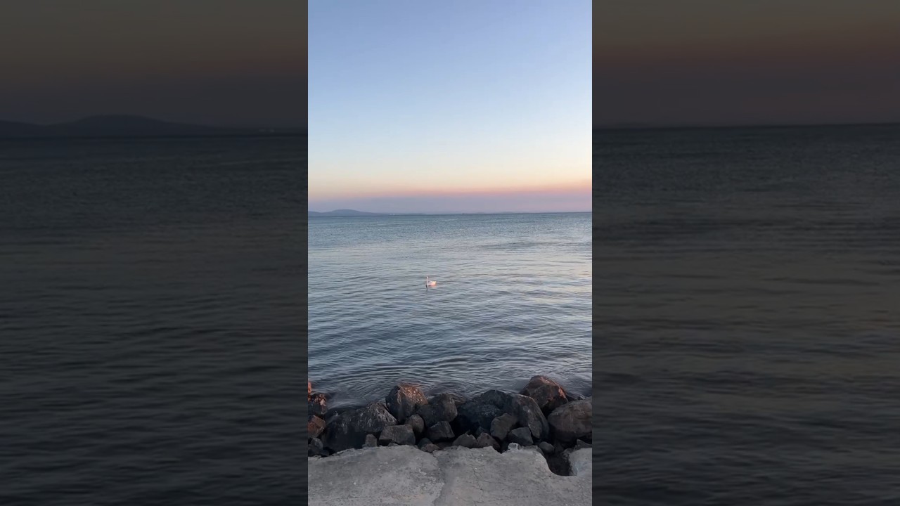 Батуми, Грузия.  Необозримое в прекрасной птице.