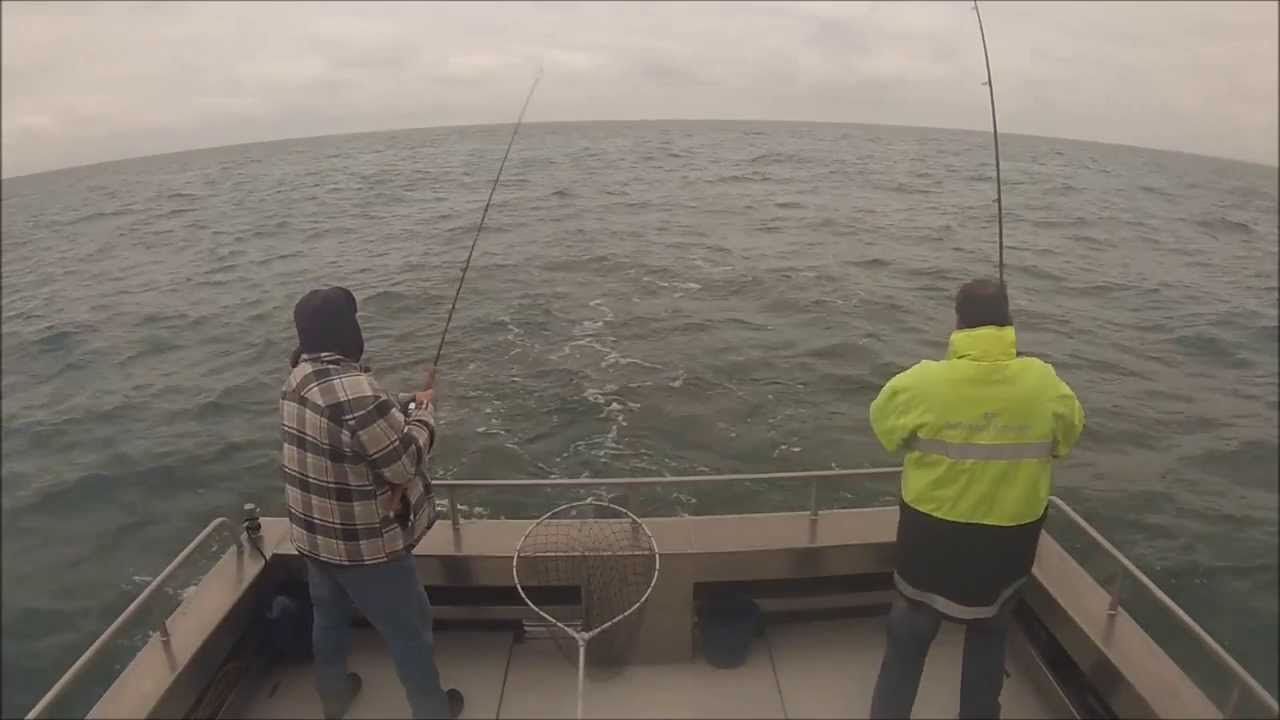 Zeebaars vissen SL35