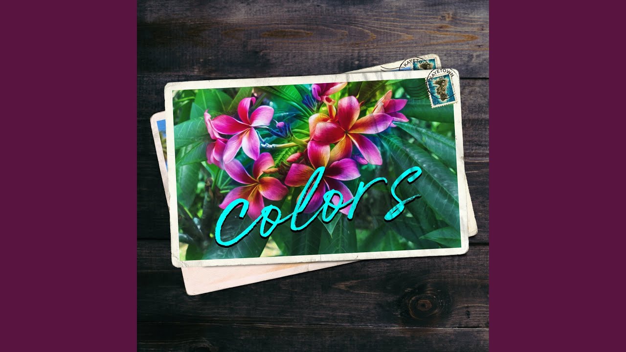 Colors