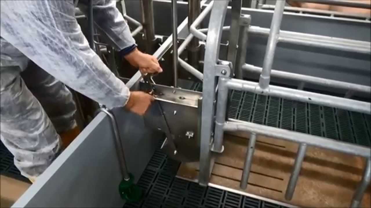 STEWA Schweinestalleinrichtung Teil 1