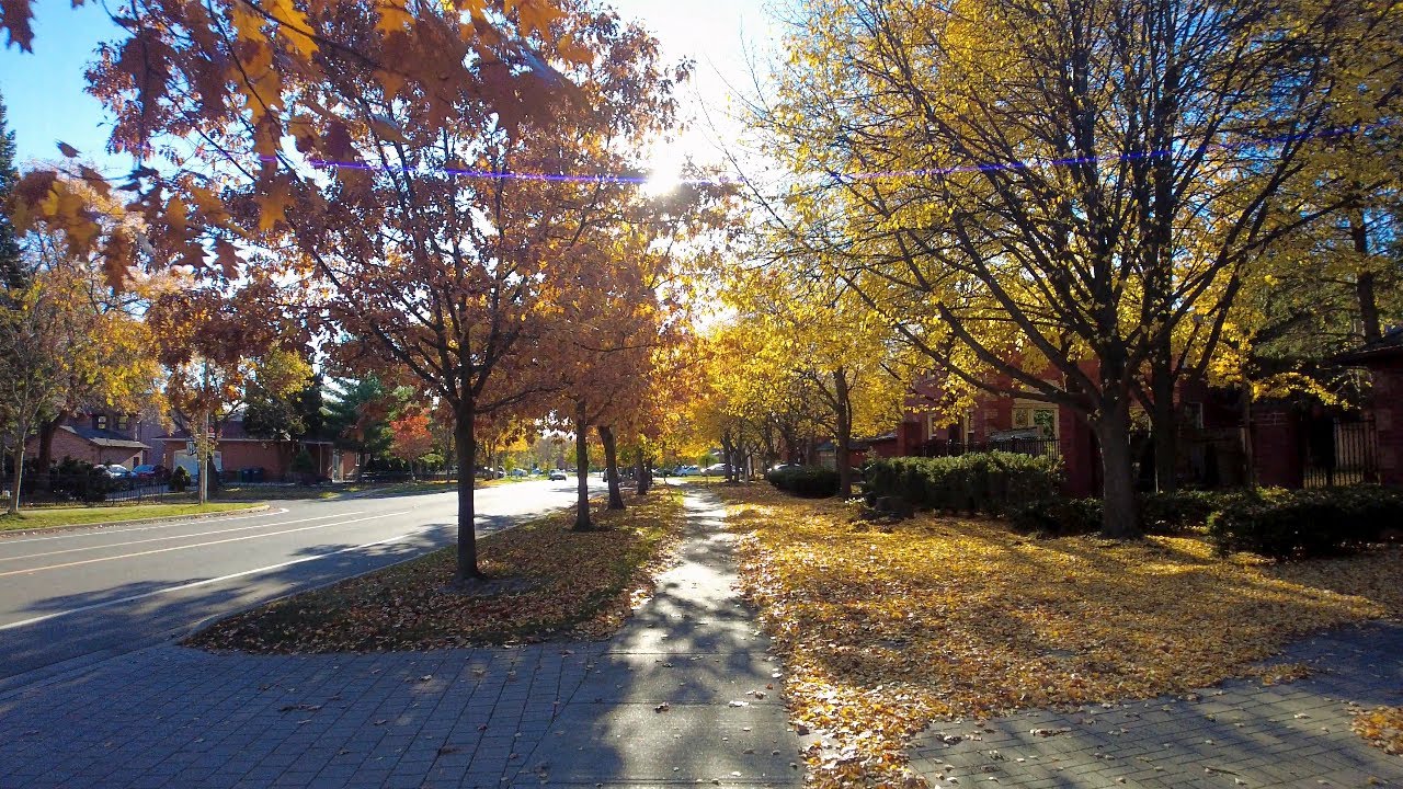 [4K] Walking Through Mississauga's neighborhoods in Fall 2023