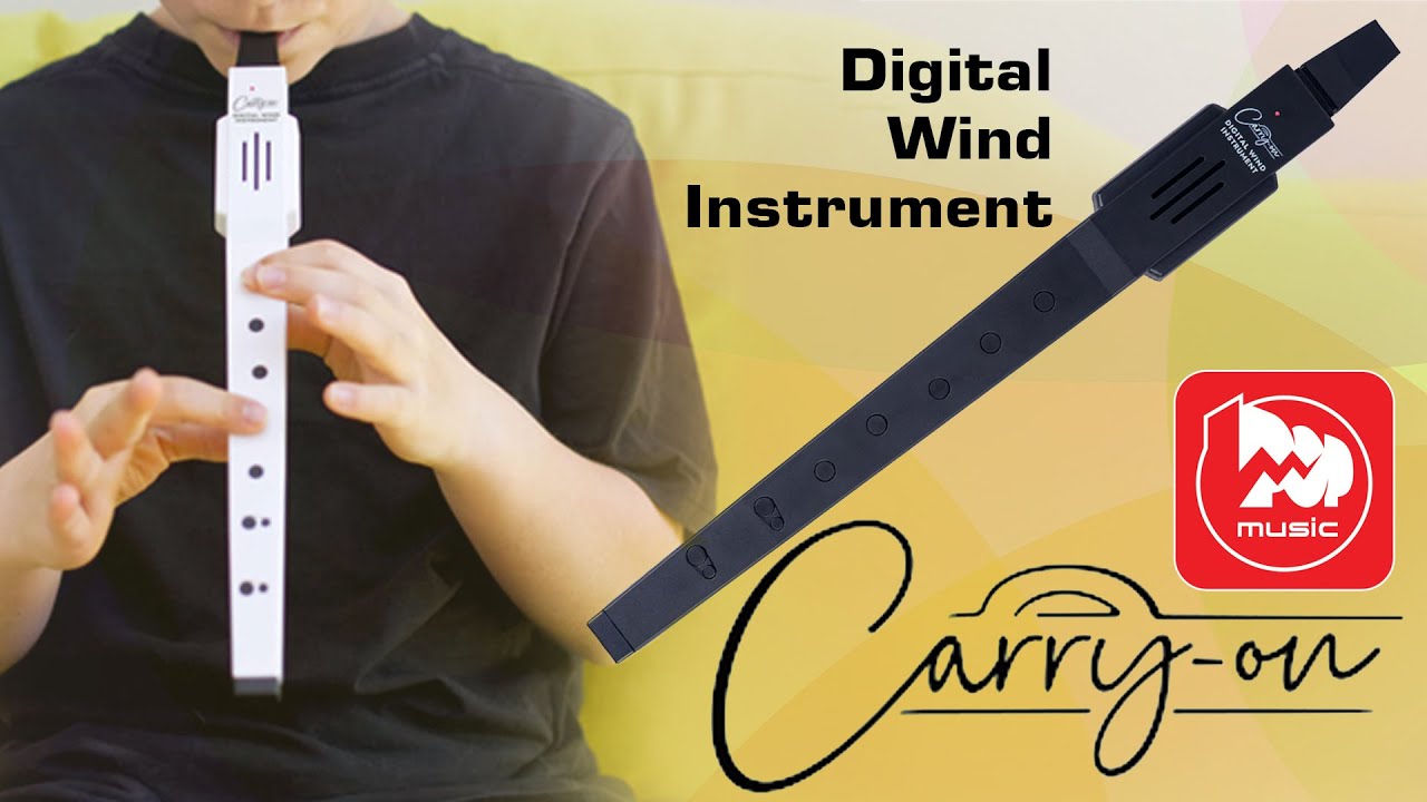 Духовой контроллер Carry-On Digital Wind Instrument (блокфлейта, миди-контроллер)